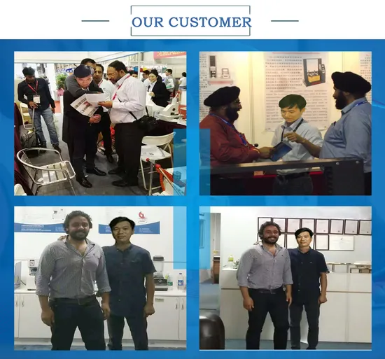 Lab Equipment 16 CFR 1500.51-53 ASTM PS79-96 Button Snap Pull Testing Machine with All Accessories